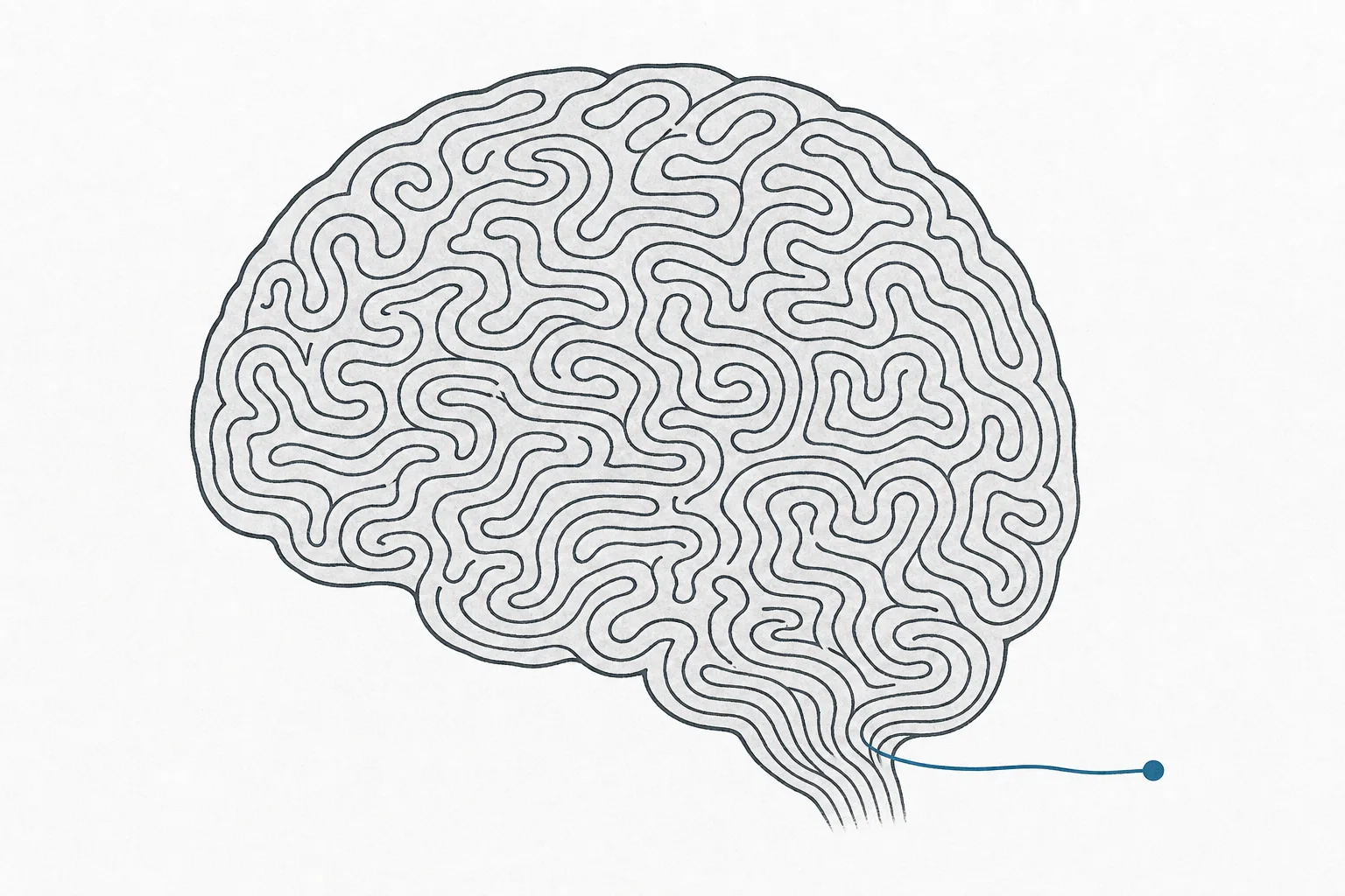 A brain-shaped lump of thought whose interior is filled with long, tangled, winding paths before finally arriving at a single short one-sentence answer at the end, conveying a model that thinks in very long steps before answering.